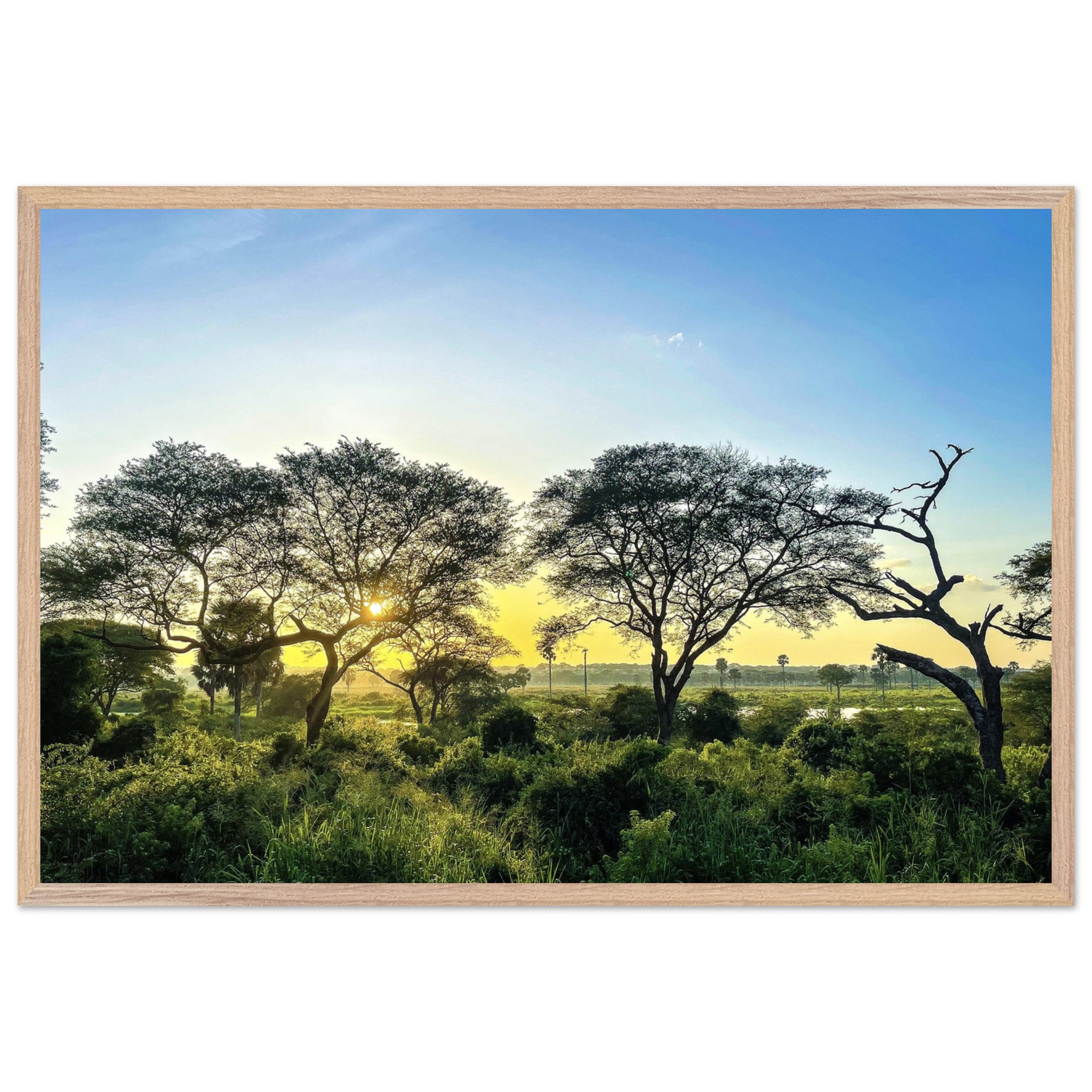 149cfcf8-0f03-41fd-b0a3-b52182efdb82