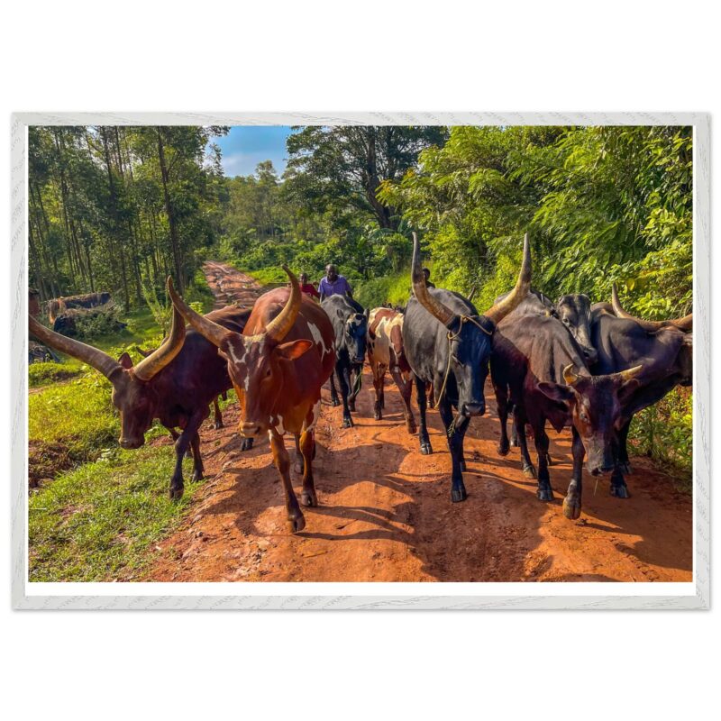 23b8833b-3f9f-4cc6-9704-b923352c1bb7