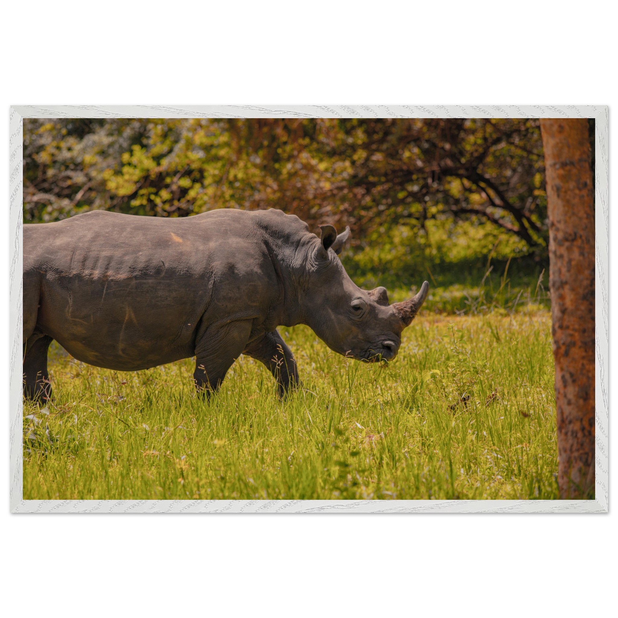 350c8802-7615-442a-bad5-e6fd270b2cda