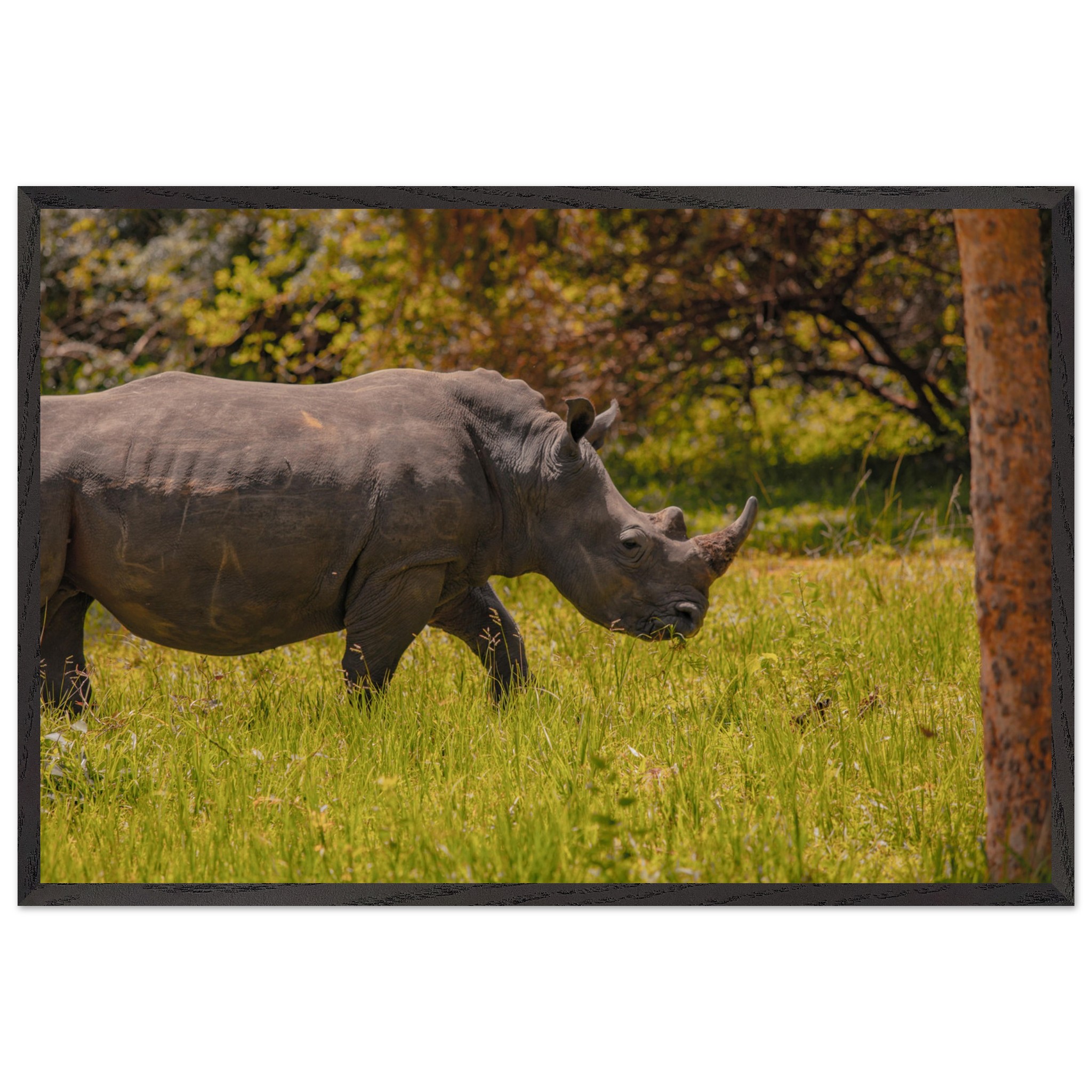 48b28fcc-f2aa-464d-b35e-c868fc0dcd99