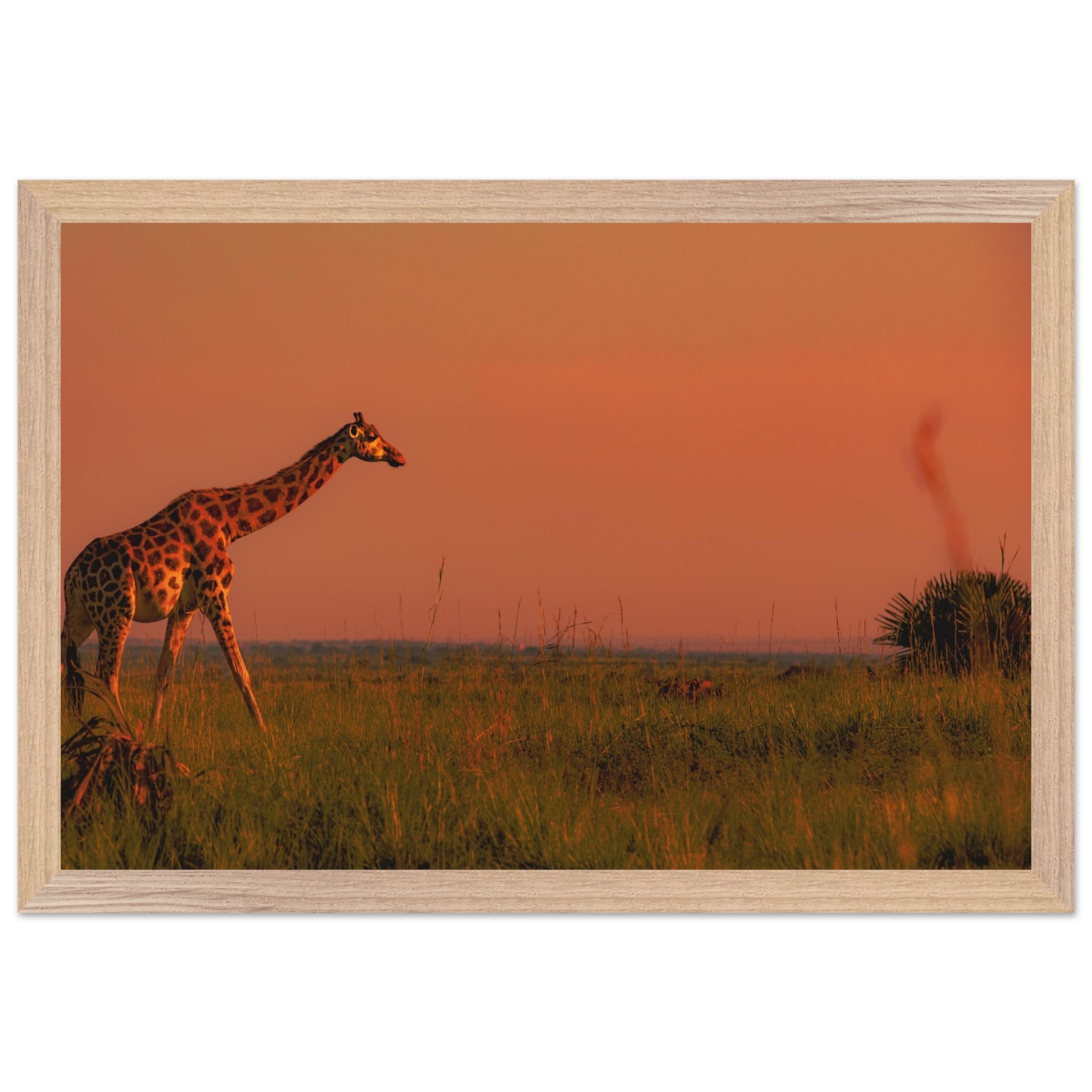 4f2ea397-4dec-45fb-89d7-e32b3489e694