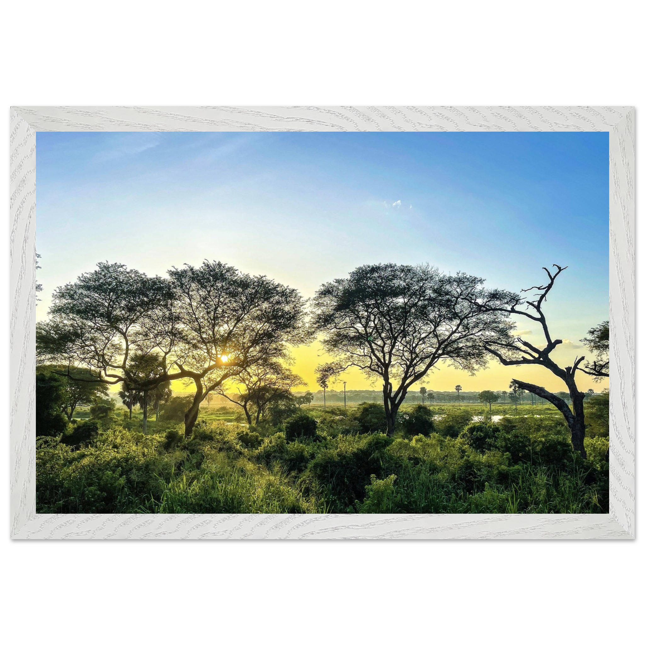 6474bd1a-6be8-4bd6-bfdf-5011cb53ee17