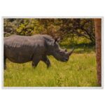 673ad0c8-c3a4-4f87-9260-556ee807dcbb