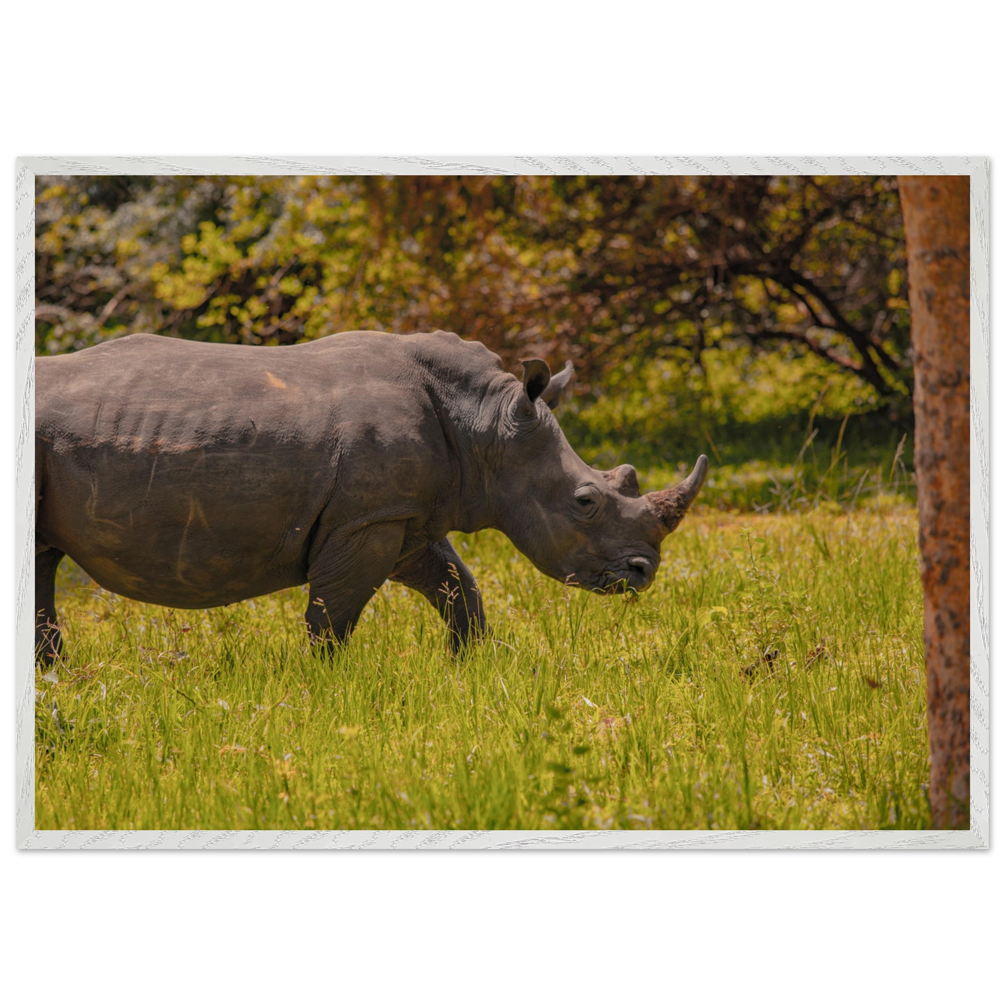 673ad0c8-c3a4-4f87-9260-556ee807dcbb