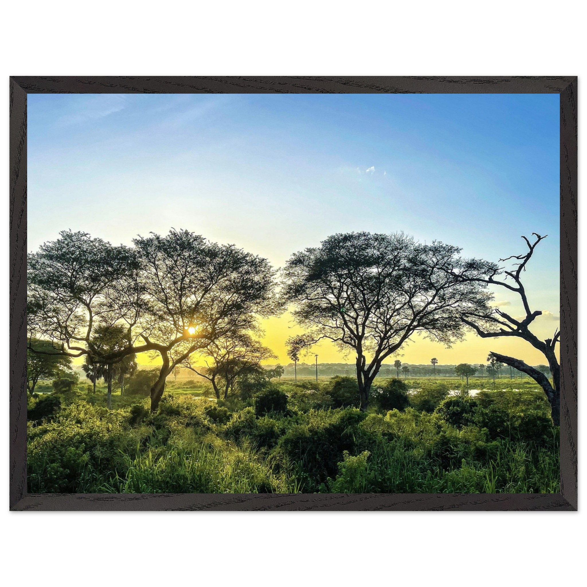 6b9d9c5d-cc88-46aa-80a1-293af31349ab