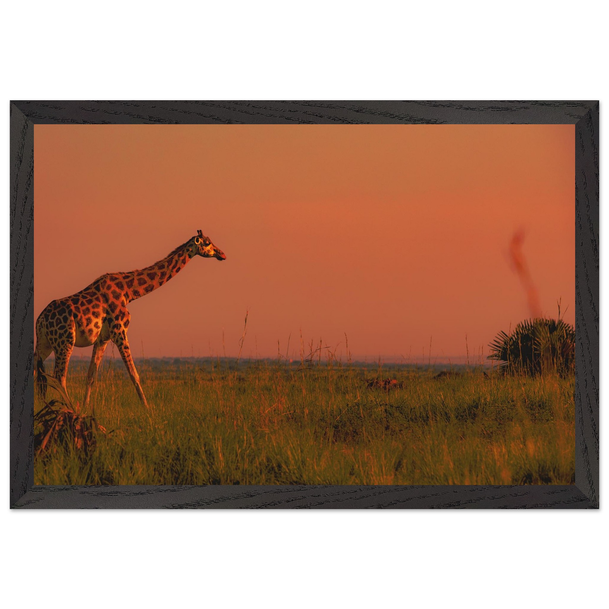 7e82181b-ce05-4a23-b7ee-3a3e54b8c8bf