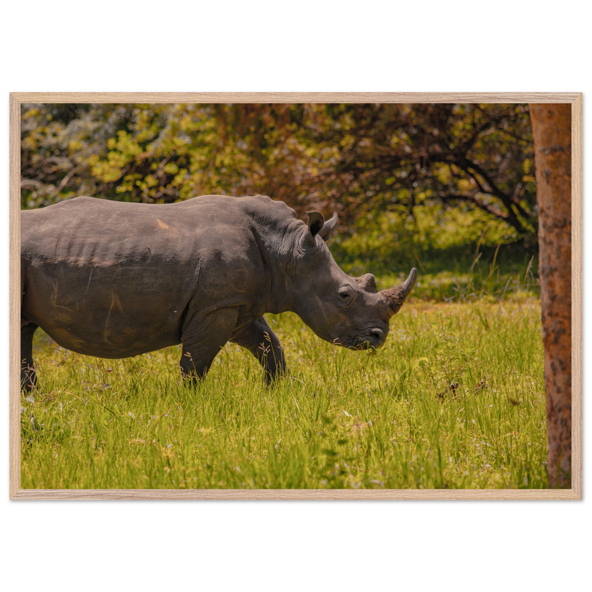 930b1d3f-1094-4a4f-8958-c03467dd74e7