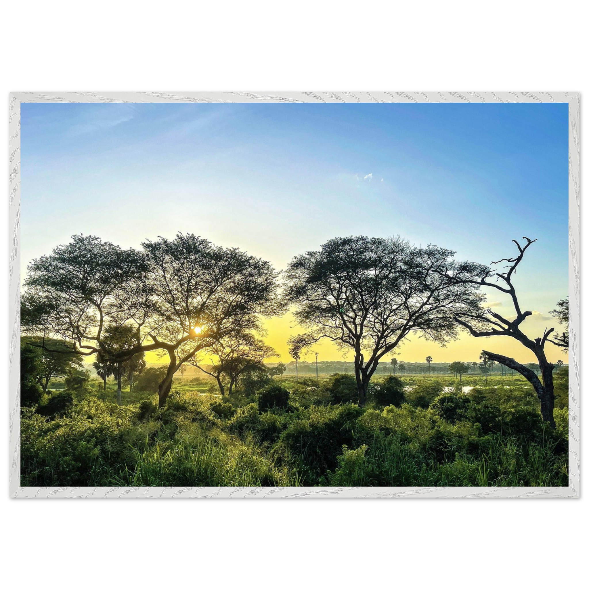 99228a59-a735-4e5d-861f-bd2a40baf8a7