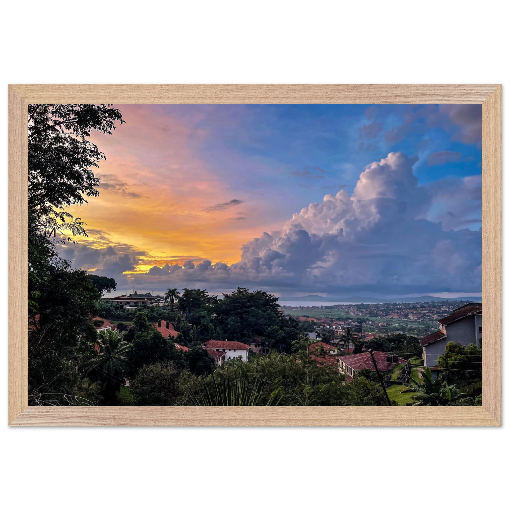 9b2ecc9e-17cd-42e2-828d-54e453a0a6c6