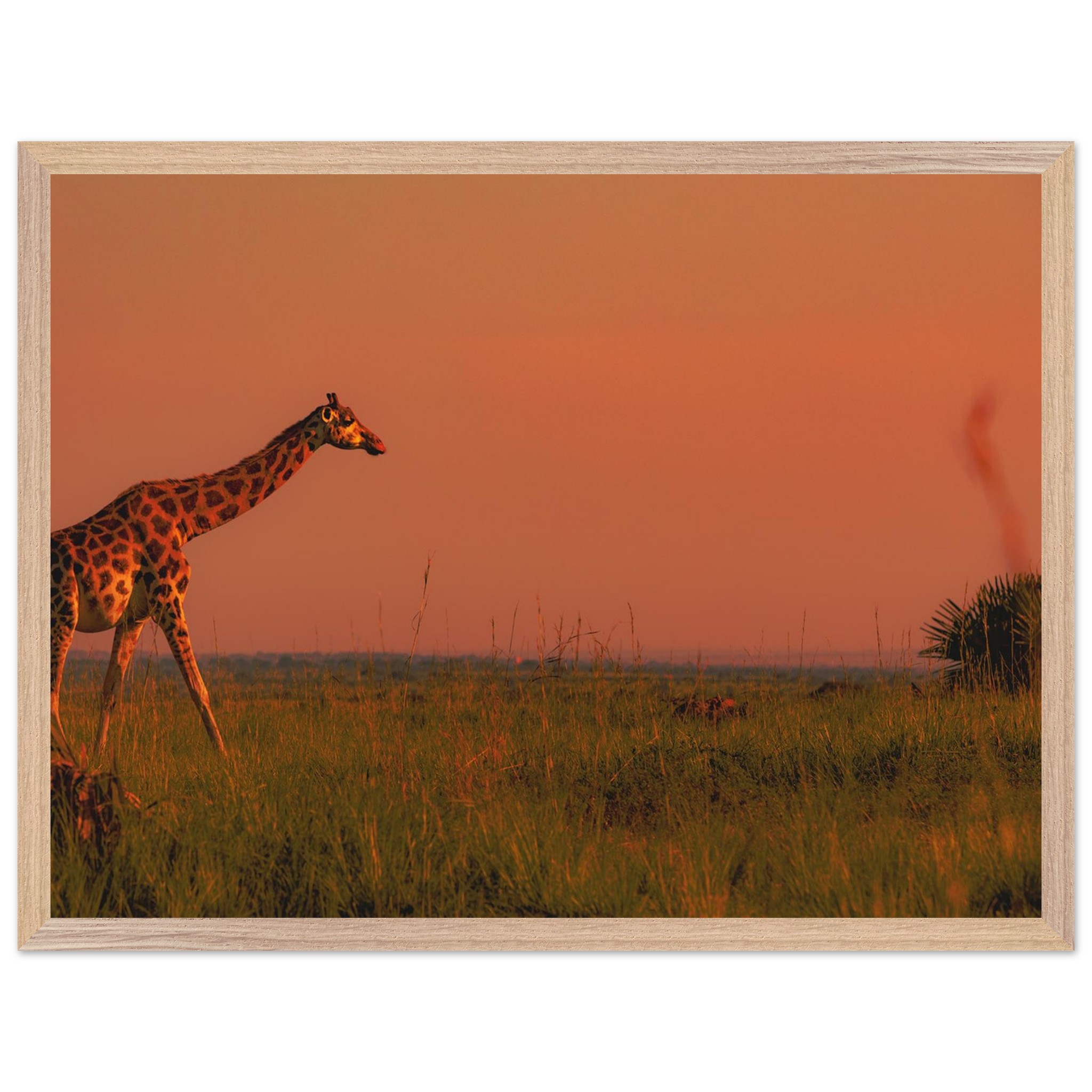 a93fcd30-3eda-4dc8-b8a9-a8a6f298a553