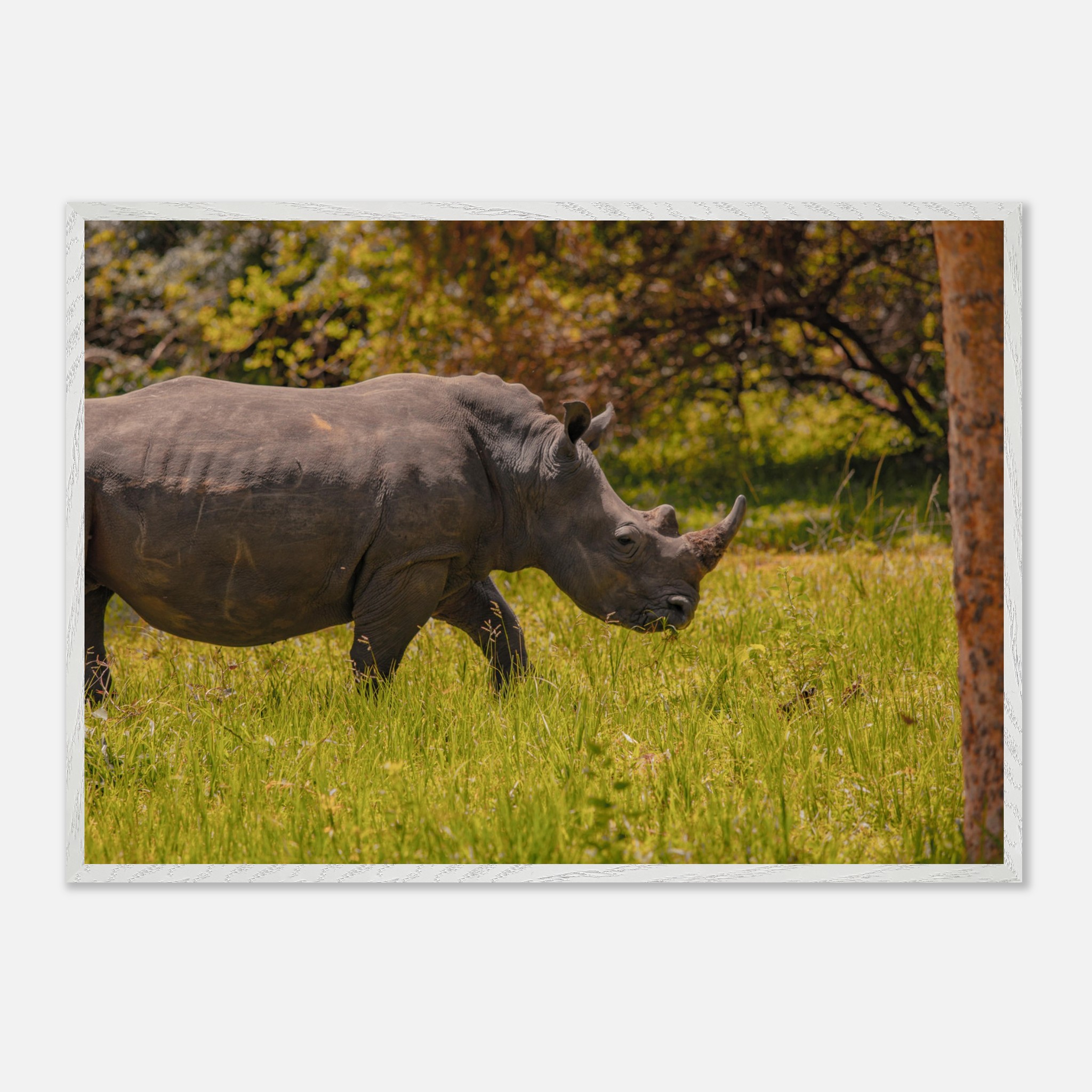 aaf5d25c-78ad-4bb4-b122-a3418de8eb06