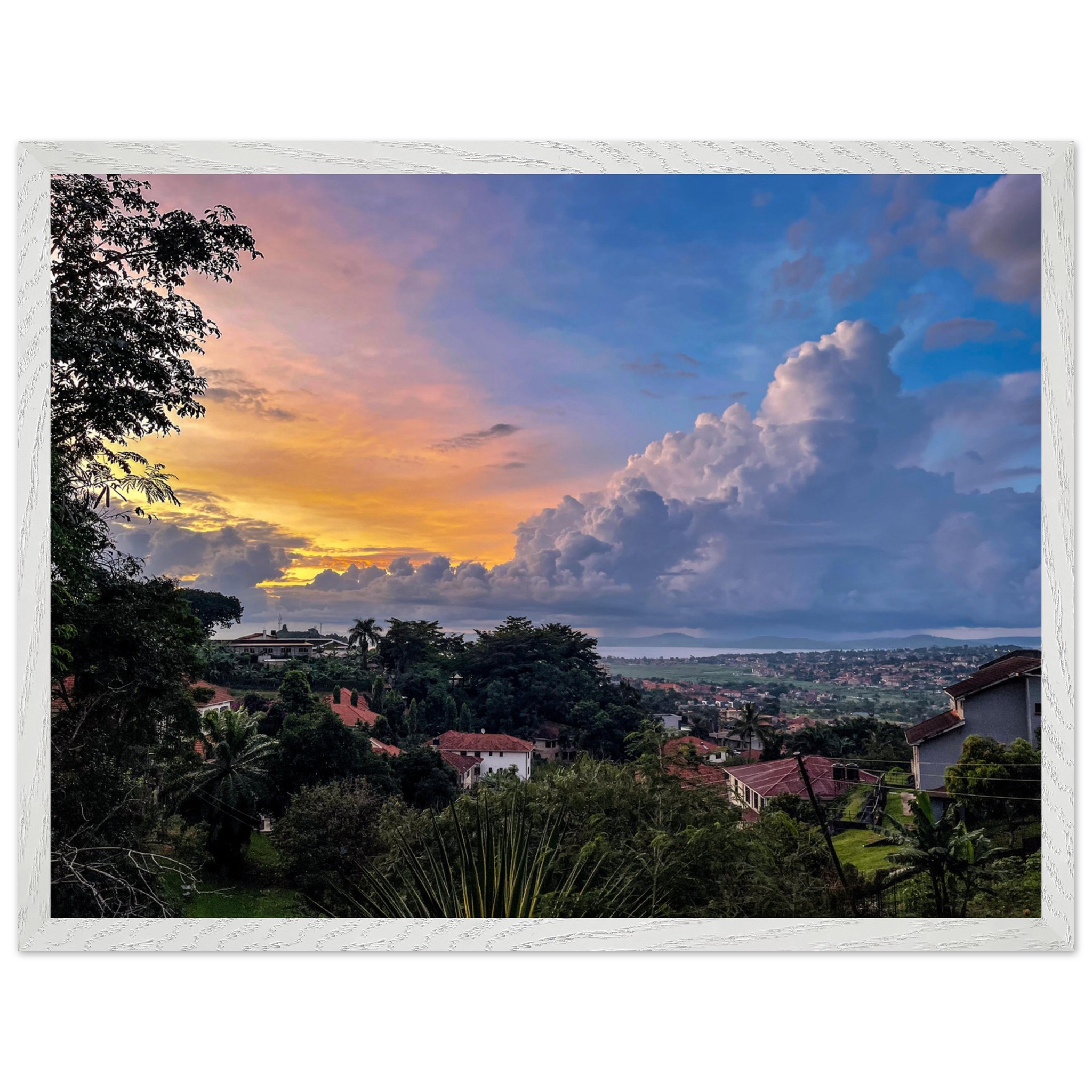 ae0ba9db-b44f-4e23-babf-4d95cfcb0820