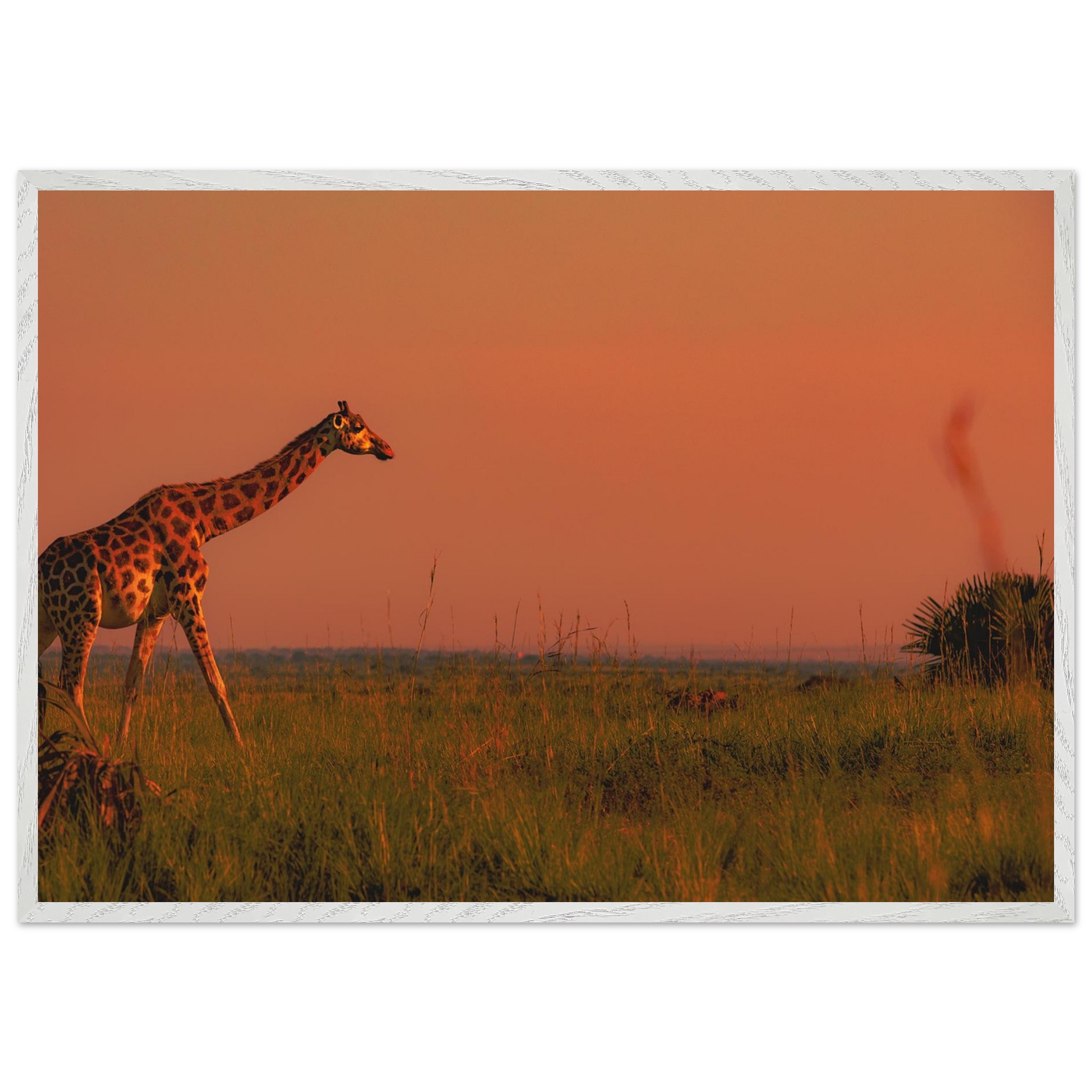 c08baba8-e13c-45d5-9ba6-532c1059cef4