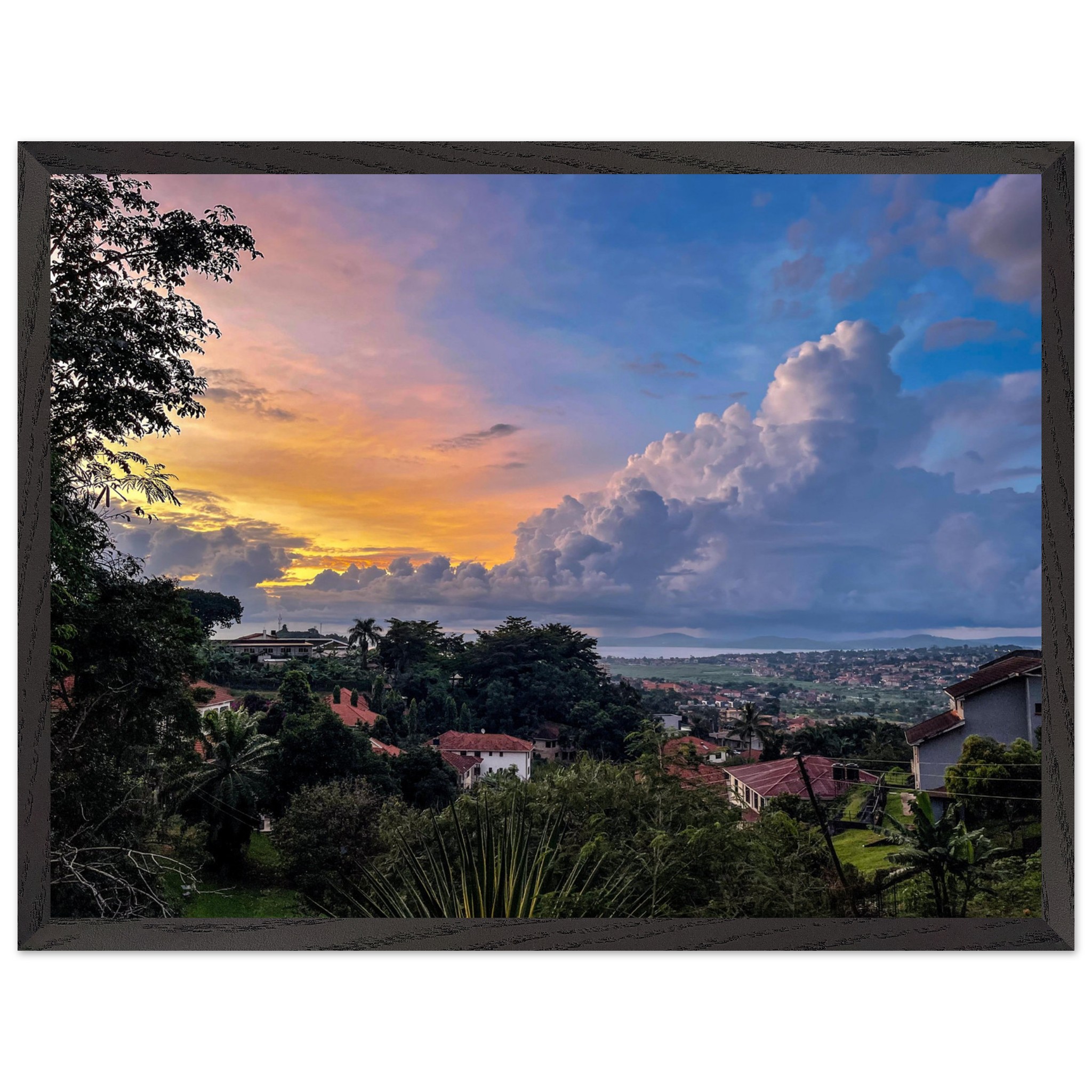 c8d4c152-1537-4de1-9f61-c3c934df2cdb