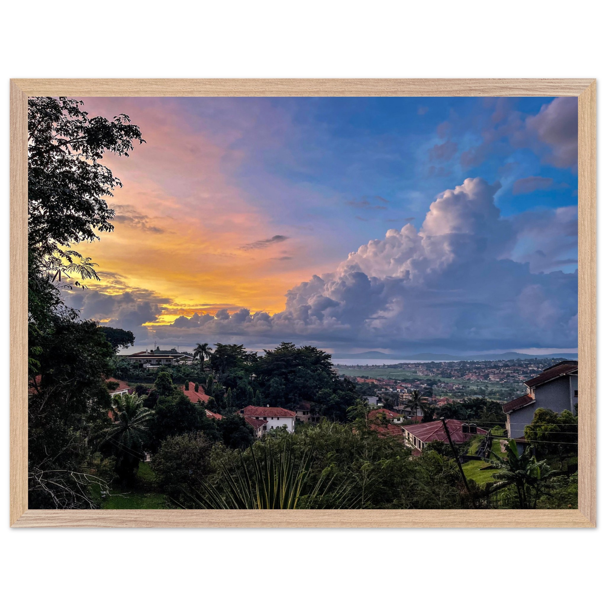 cca97c02-02fd-4710-a31d-0976e99f2d1f