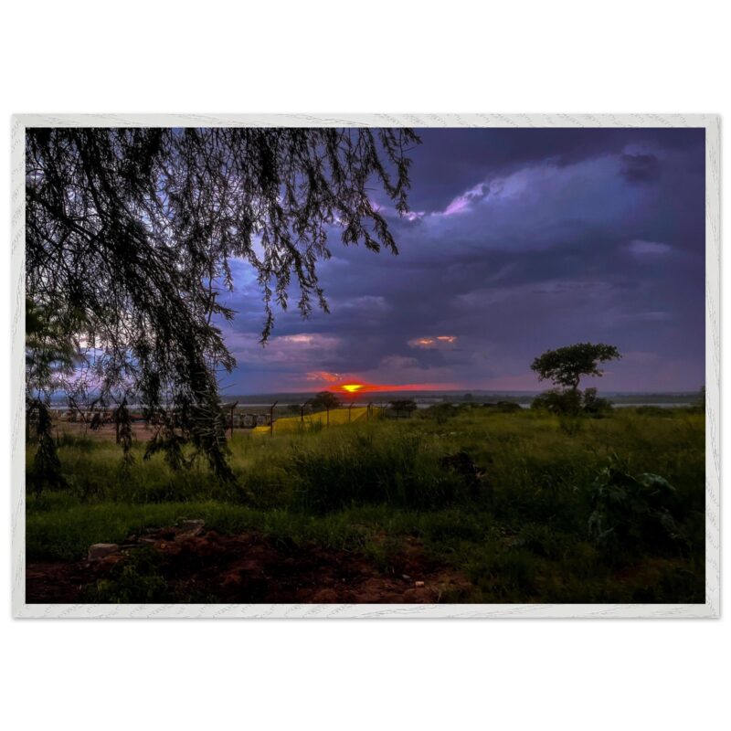 d7c8f626-cad1-40e4-8bec-9d06d9c1d32b