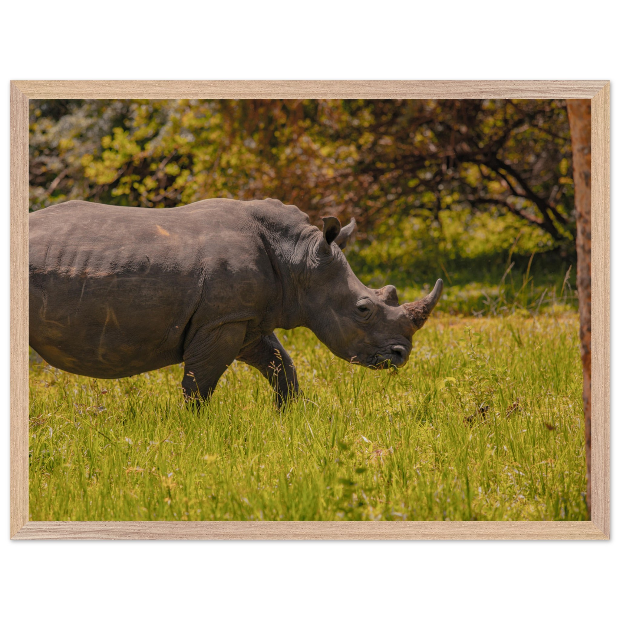 e02fe0fc-c7f1-49b2-8407-30e33d48cfe7