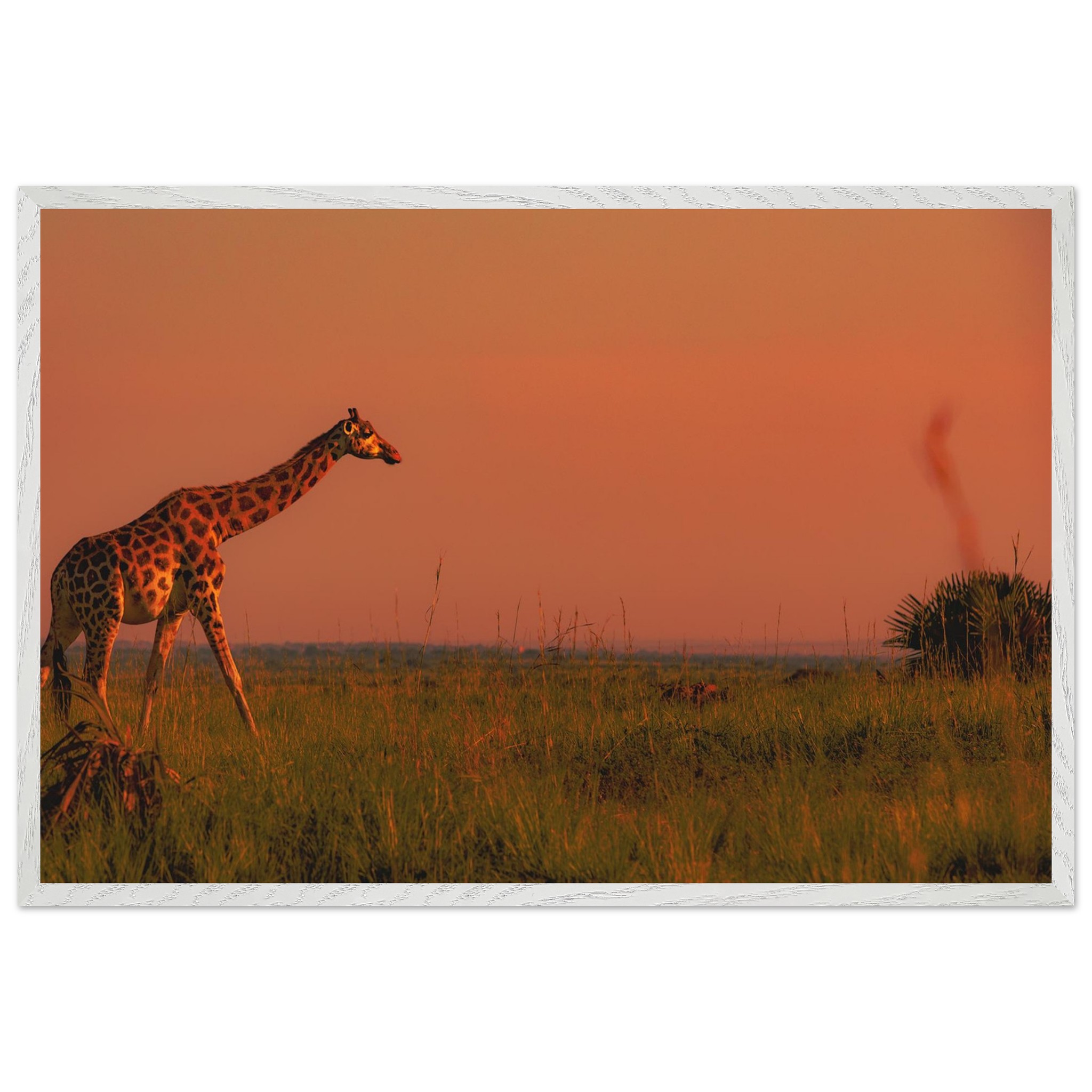 f6a4e2e5-99f6-4979-a23b-5411d0b7ef78